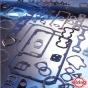 Gaskets, oil seals, o-rings